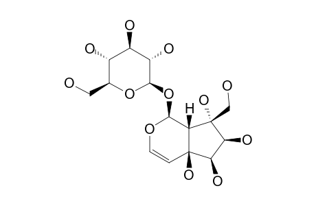 Isocynanchosid