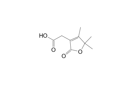 3-Furanacetic acid, 2,5-dihydro-4,5,5-trimethyl-2-oxo-
