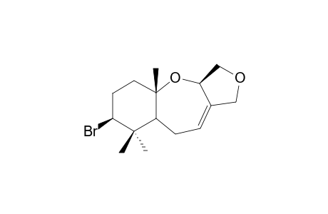 PALISADIN A