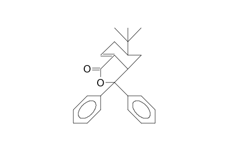 5-tert-Butyl-3,3-diphenyl-3aa, 4,5a,6-tetrahydro-1(3H)-isobenzofuranone