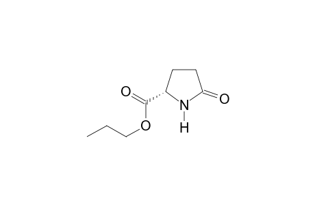 5-oxo-L-Proline propyl ester