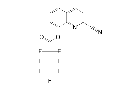 2-Carbonitrile-8-hydroxyquinoline, heptafluorobutyrate