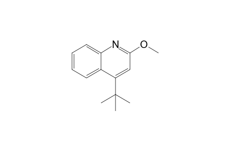 4-tert-Butyl-2-methoxyquinoline