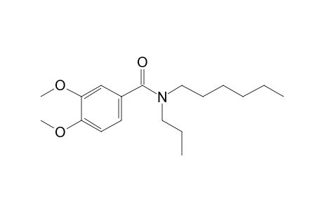 Benzamide, 3,4-dimethoxy-N-propyl-N-hexyl-