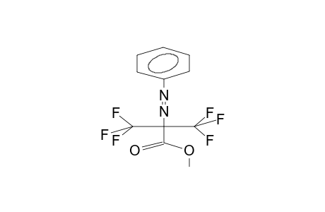 2-PHENYLAZO-PERFLUOROISOBUTYRIC ACID, METHYL ESTER