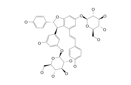 VATALBINOSIDE_C;1-(BETA-D-GLUCOPYRANOSYLOXY)-5-{(2-R,3-R)-6-(BETA-GLUCOPYRANOSYLOXY)-2-(4-HYDROXYPHENYL)-4-[(E)-4-HYDROXYSTYRYL]-