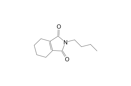 1H-Isoindole-1,3(2H)-dione, 2-butyl-4,5,6,7-tetrahydro-