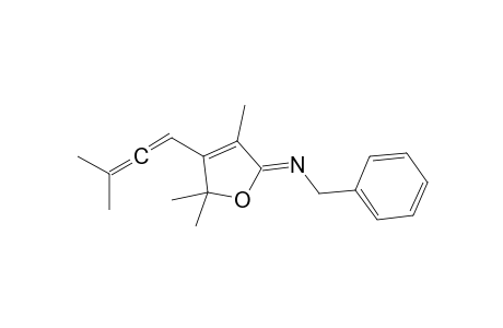 (Z)-N-Benzyl 3,5,5-trimethyl-4-(3'-methylbuta-1',2'-dienyl)furan-2(5H)-imine