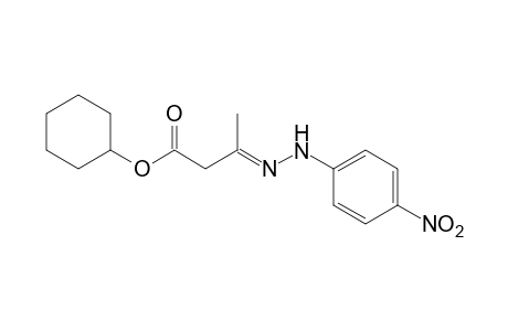 acetoacetic acid, cyclohexyl ester, p-nitrophenylhydrazone