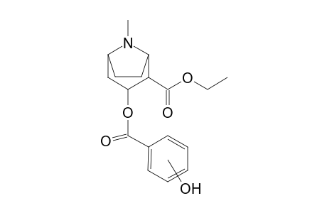 Cocaethylene-M (HO-) MS2