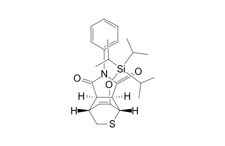 (1S*,4S*,5R*,6S*)-N-phenyl-7-triisopropylsilyloxy-2-thiabicyclo[2.2.2]oct-7-ene-5,6-dicarboxylic Acid Imide