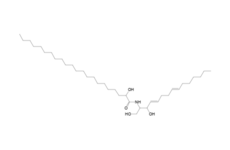 Cer 15:2;2O/22:0;(2OH)