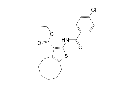ethyl 2-[(4-chlorobenzoyl)amino]-4,5,6,7,8,9-hexahydrocycloocta[b]thiophene-3-carboxylate