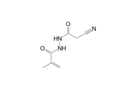 N'-(2-cyanoacetyl)methacrylohydrazide