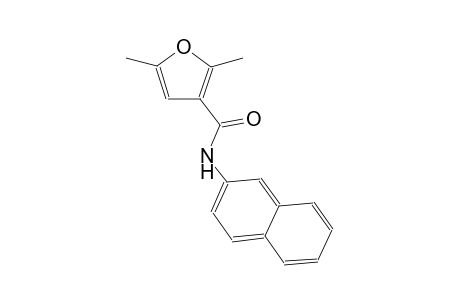 3-furancarboxamide, 2,5-dimethyl-N-(2-naphthalenyl)-