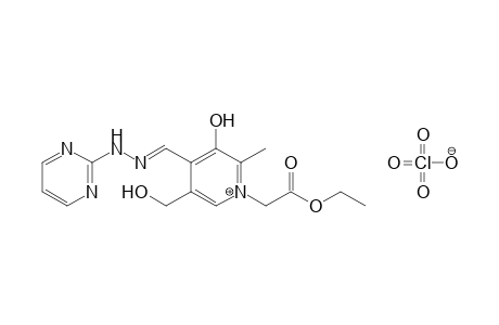 1-(N-Ethoxycarbonylmethylpyridoxylidenium)-2-(2'-pyrimidyl)hydrazine perchlorate