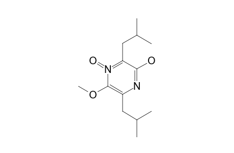 2-HYDROXY-3,6-DIISOBUTYL-5-METHOXYPYRAZINE-4-OXIDE