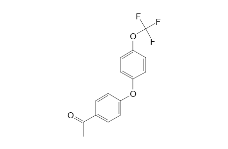 4-(4-TRIFLUOROMETHOXYPHENOXY)-ACETOPHENONE