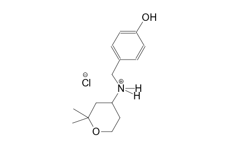 2H-pyran-4-aminium, tetrahydro-N-[(4-hydroxyphenyl)methyl]-2,2-dimethyl-, chloride