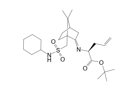 (+)-N-cyclohexyl-10-[2-(1-(tert-butyloxycarbonyl)butyl)imino-7,7-dimethylcyclo[2.2.1]heptyl)methyl]sulfonamide