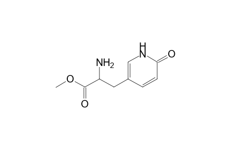 5-[2-Amino-2-(methoxycarbonylethyl]-2-pyridone