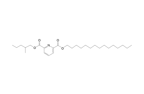 2,6-Pyridinedicarboxylic acid, 2-methylpentyl pentadecyl ester