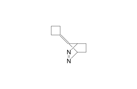 7-Cyclobutylidene-2,3-diaza-bicyclo(2.2.1)hept-2-ene