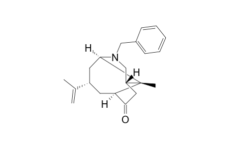 (1S,4R,6S,8S,11S)-3-Benzyl-6-isipropyenyl-11-methyl-3-azatricyclo[6.2.1.0(4,11)]undecan-9-one