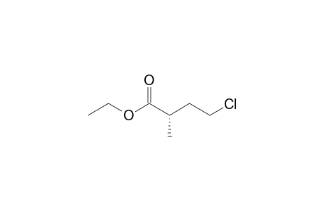 Ethyl (2S)-4-chloro-2-methylbutanoate