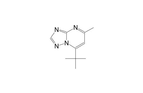 7-tert-butyl-5-methyl[1,2,4]triazolo[1,5-a]pyrimidine