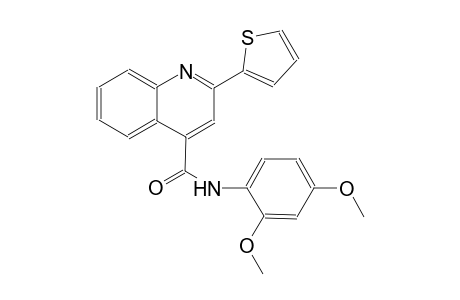 4-quinolinecarboxamide, N-(2,4-dimethoxyphenyl)-2-(2-thienyl)-