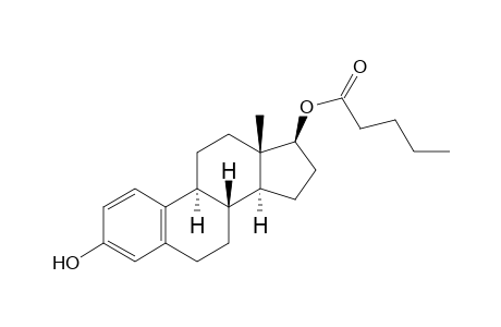 17β-Estradiol 17-valerate