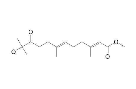 METHYL-(+)-(2E,6E,10-XI)-10,11-DIHYDROXY-3,7,11-TRIMETHYL-DODECA-2,6-DIENOATE