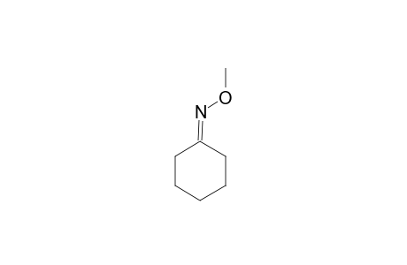 Cyclohexanone O-methyl-oxime
