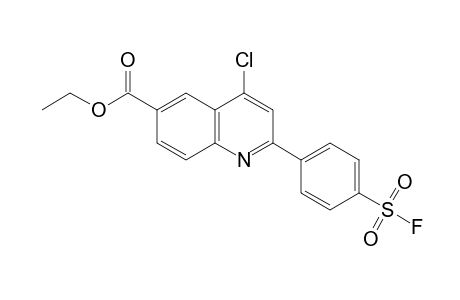 4-chloro-2-[p-(fluorosulfonyl)phenyl]-6-quinolinecarboxylic acid, ethyl ester