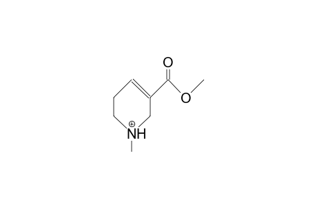 1-Methyl-1,2,5,6-tetrahydro-nicotinic acid, methyl ester cation