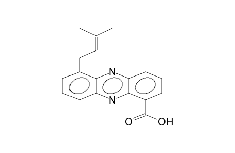 6-(3-METHYL-2-BUTENYL)PHENAZINE-1-CARBOXYLIC ACID