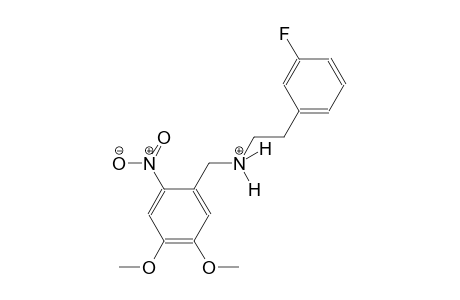 N-(4,5-dimethoxy-2-nitrobenzyl)-2-(3-fluorophenyl)ethanaminium