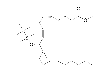 Methyl-10(S*)-tert-butyldimethylsiloxy-11,12-cyclopropyl-5(Z),8(Z),14(Z)-eicosatrienoate