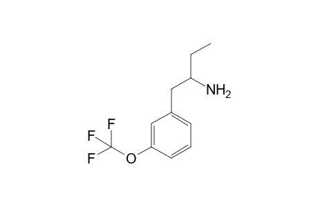1-(3-(Trifluoromethoxy)phenyl)butan-2-amine