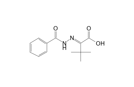 (2E)-2-(Benzoylhydrazono)-3,3-dimethylbutanoic acid