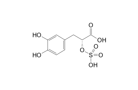 (2R)-3-(3',4'-dihydroxyphenyl)-2-sulfooxypropanoic acid