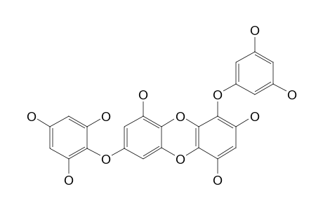 1-(3',5'-DIHYDROXYPHENOXY)-7-(2'',4'',6''-TRIHYDROXYPHENOXY)-2,4,9-TRIHYDROXYDIBENZO-1,4-DIOXIN
