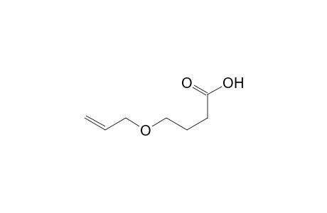 4-Allyloxybutyric acid
