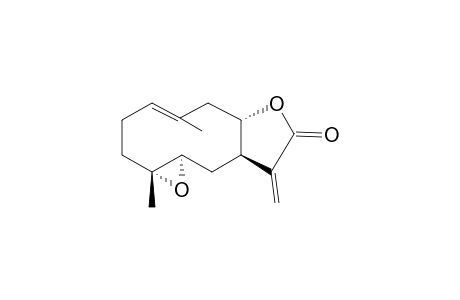 QUADRANGOLIDE