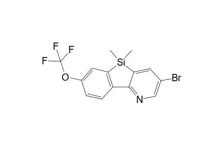 3-bromo-5,5-dimethyl-7-(trifluoromethoxy)-benzosilolo[3,2-b]pyridine