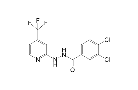Benzhydrazide, 3,4-dichloro-N2-(4-trifluoromethyl-2-pyridyl)-