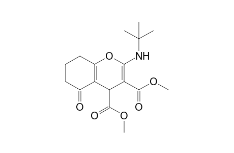 Dimethyl 2-[(t-butyl)amino]-5-oxo-5,6,7,8-tetrahydro-4H-chromene-3,4-dicarboxylate