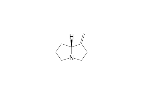 (8R)-1-methylenepyrrolizidine