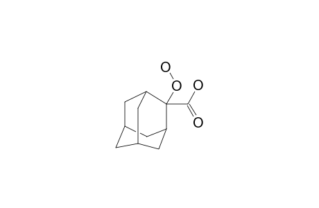 2-CARBOXY-2-HYDROPEROXY-ADAMANTANE
